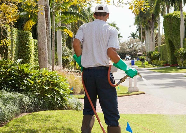 About Uniondale NY Pest Control Pros